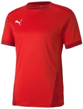 Puma teamGOAL Jersey