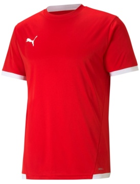 Puma teamLIGA Jersey