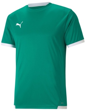 Puma teamLIGA Jersey