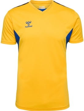 hummel hmlAUTHENTIC PL JERSEY S/S
