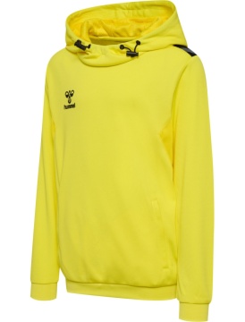 hummel hmlAUTHENTIC PL HOODIE KIDS