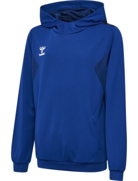 hummel hmlAUTHENTIC PL HOODIE KIDS