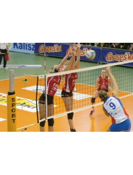 Huck Volleyball-Turniernetz 5088 DVV 1