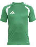GREEN/WHITE